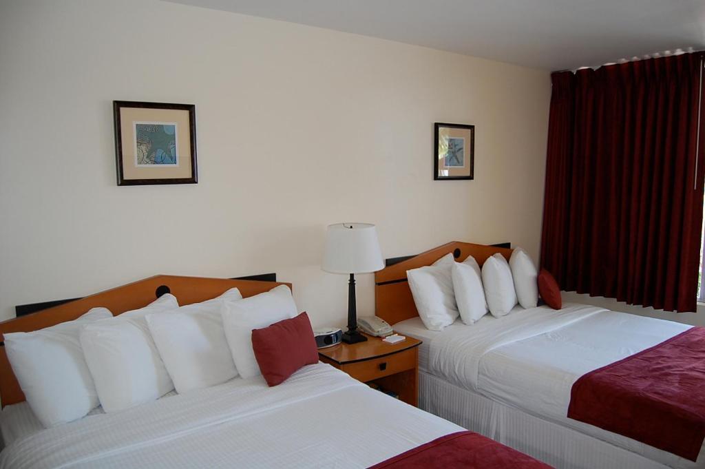 פורט לודרדייל Alcazar Resort- Gay Mens Resort חדר תמונה