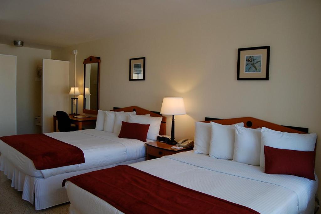 פורט לודרדייל Alcazar Resort- Gay Mens Resort חדר תמונה